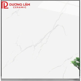 gạch lát nền loại 3- kích thước 80x80