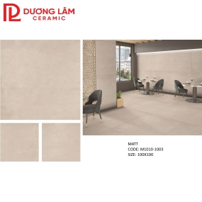Gạch đá mờ Matt M1010-1003