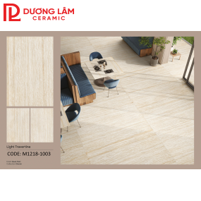 Gạch đá mờ Matt M1218-1003