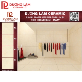 Gạch Ấn Độ Matt_88-2001