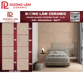 Gạch Ấn Độ Matt_88-2002