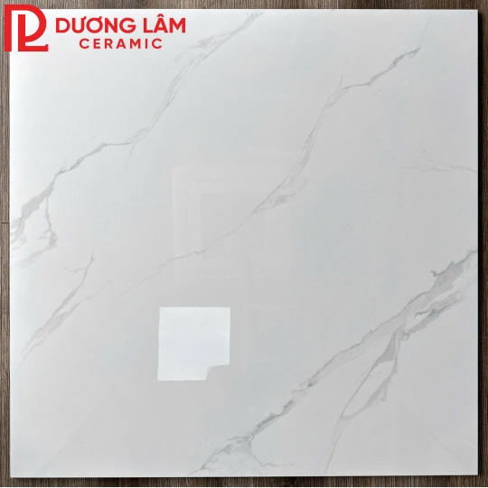 gạch lát nền loại 2- kích thước 1mx1m