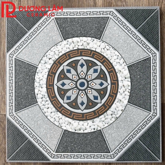 gạch sân vườn loại 5 - 50x50