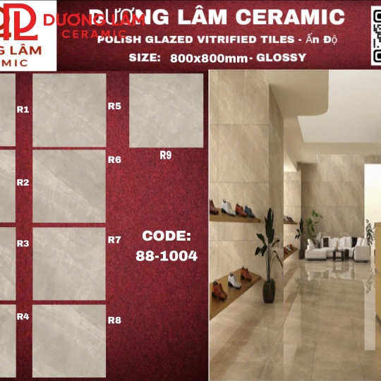 Gạch  Ấn Độ Glossy_88-1004